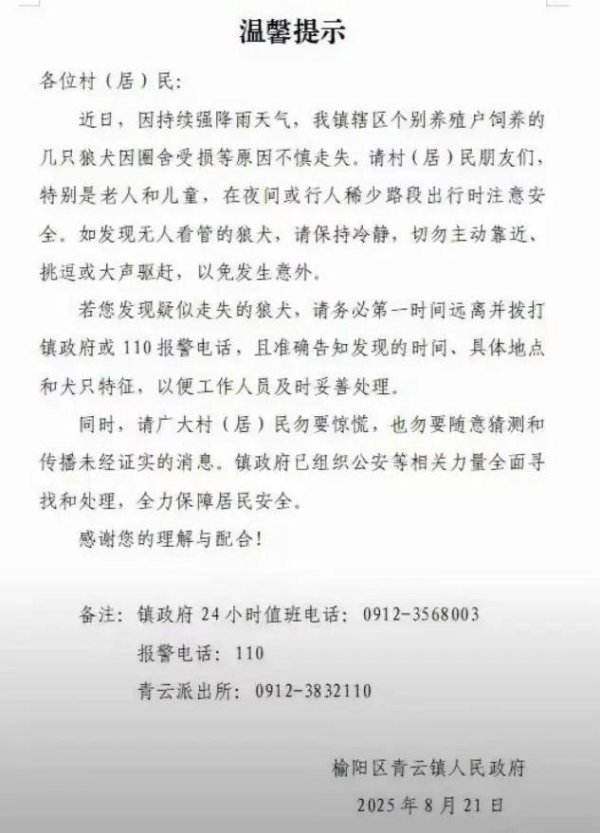360配资网 陕西一镇上有狼外逃？当地回应：是狼犬，已击毙21只，还有一两只在逃
