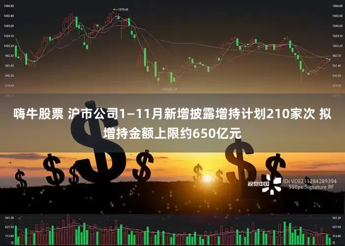 嗨牛股票 沪市公司1—11月新增披露增持计划210家次 拟增持金额上限约650亿元